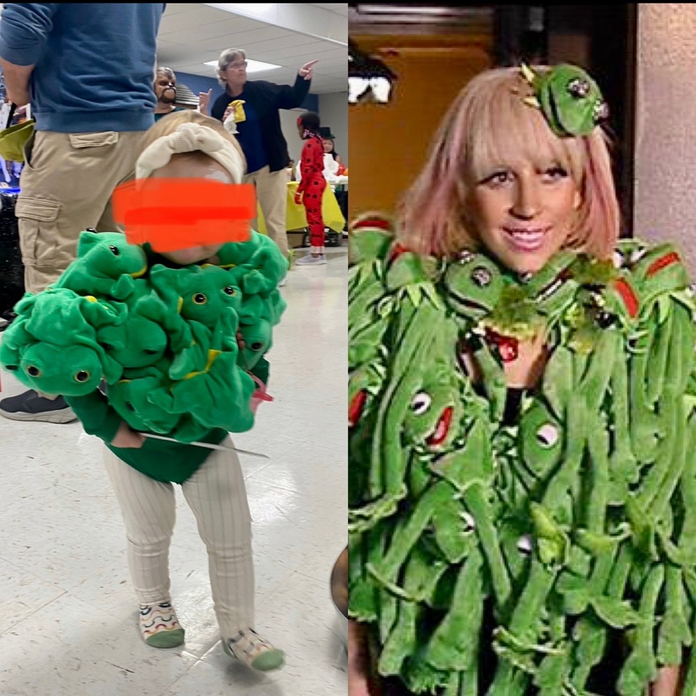 Costume- 2T - Lady GaGa frog leotard